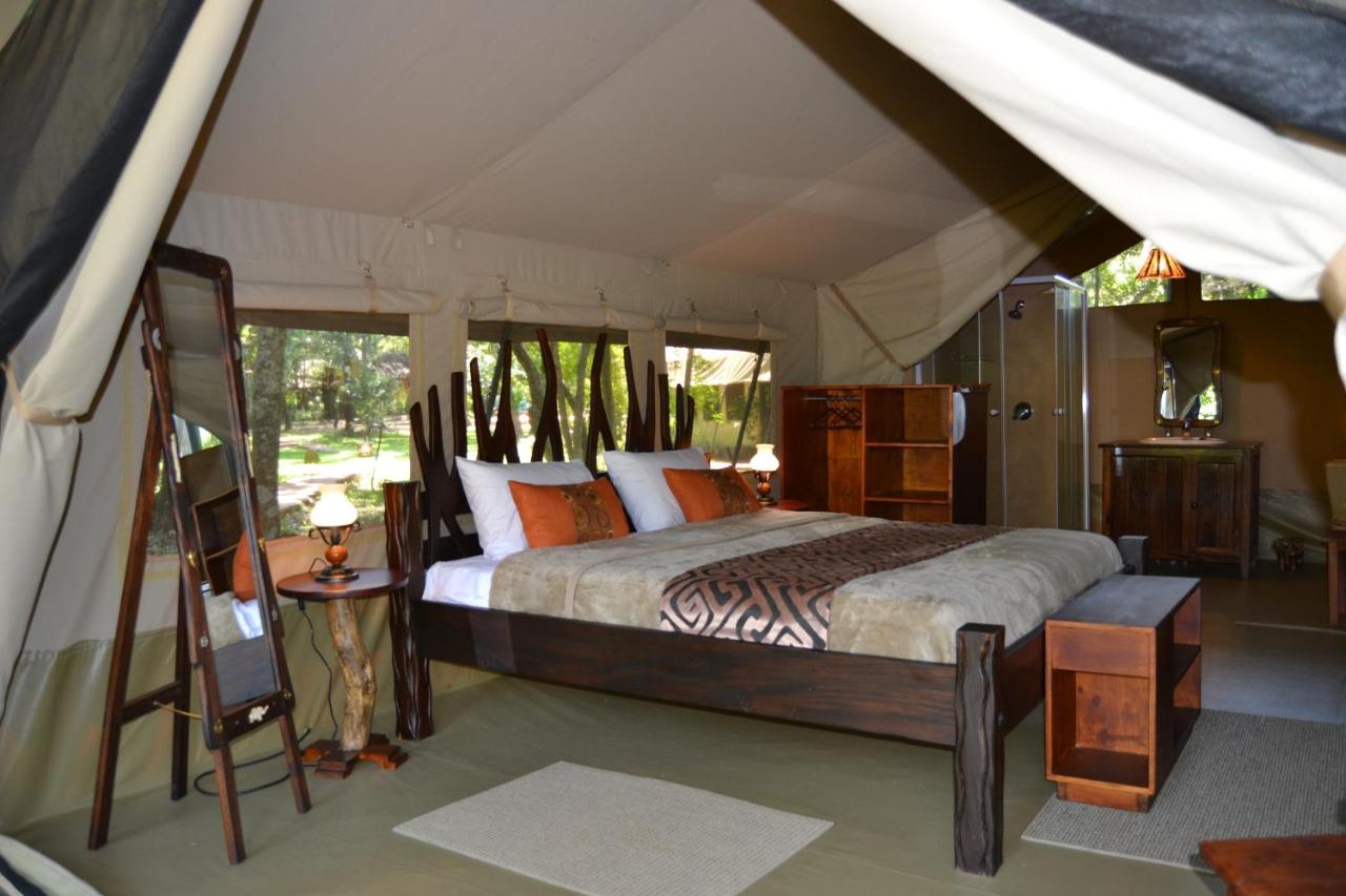 Deluxe Tent - enjoy the comforts of a hotel room.