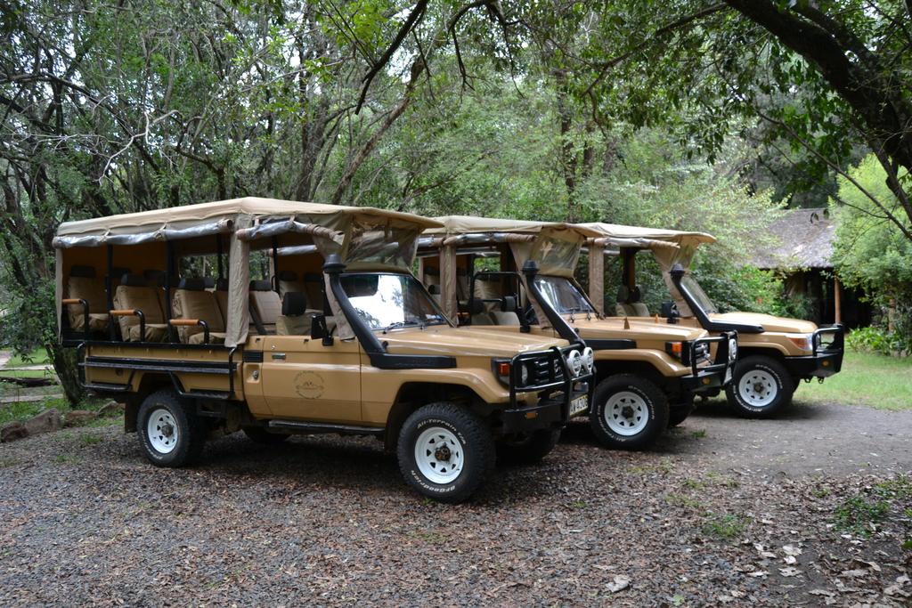 Game Drives