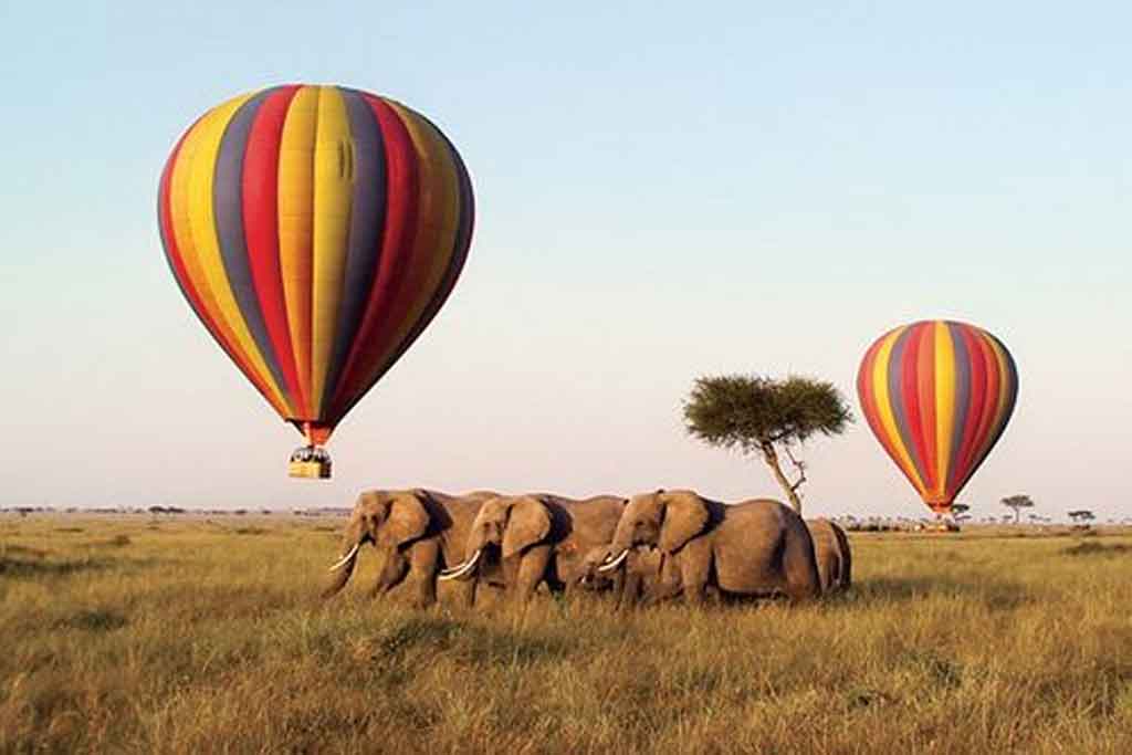 Balloon Safaris