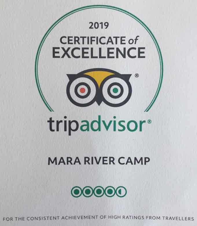 trip-advisor-image-1