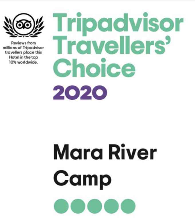 trip-advisor-image-2