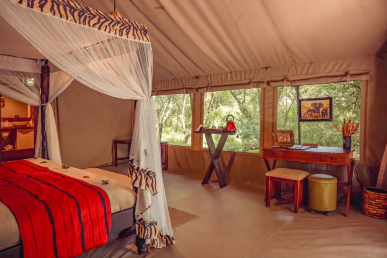 MaraRiverCamp-DeluxeRoom09