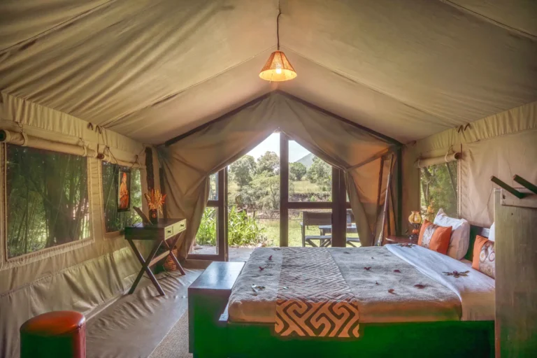 MaraRiverCamp-SuperiorRoom10
